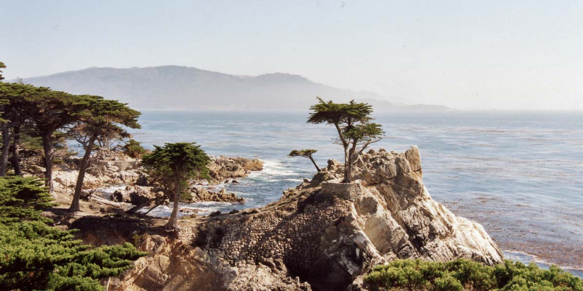 Paysage de milliardaires